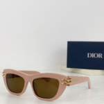 Dior Thick Acetate Sunglasses Top Quality - Image 2