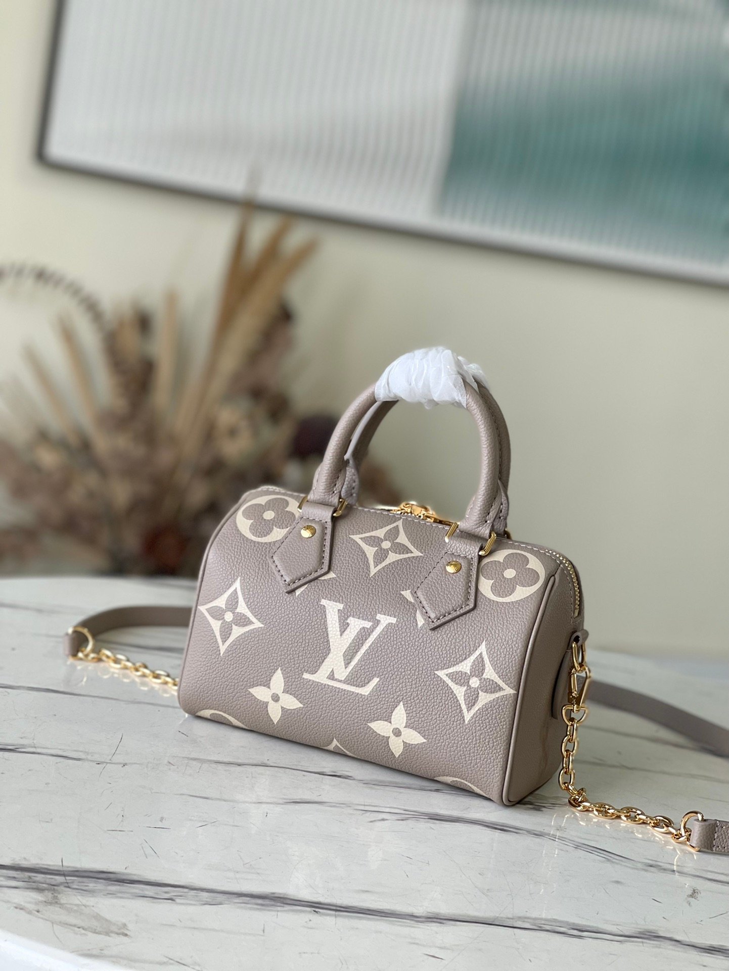 Louis Vuitton Speedy Bandouliere Grey M46575