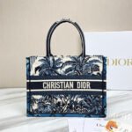 DIOR Book Tote Bags Collection - Image 9