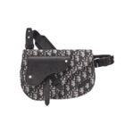 DIOR Saddle  Embroidery Crossbody Bag