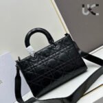 Dior Lady D-Sire bags