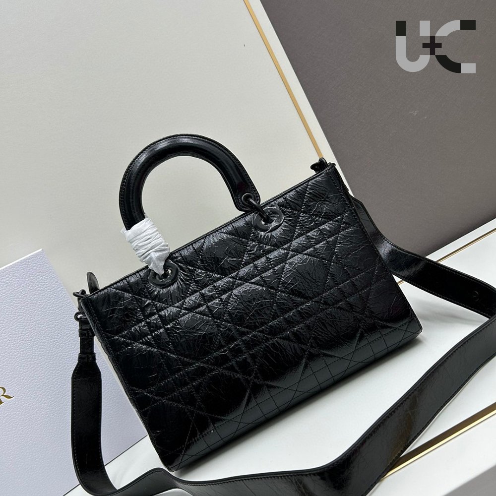 Dior Lady D-Sire bags