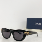 Dior Thick Acetate Sunglasses Top Quality