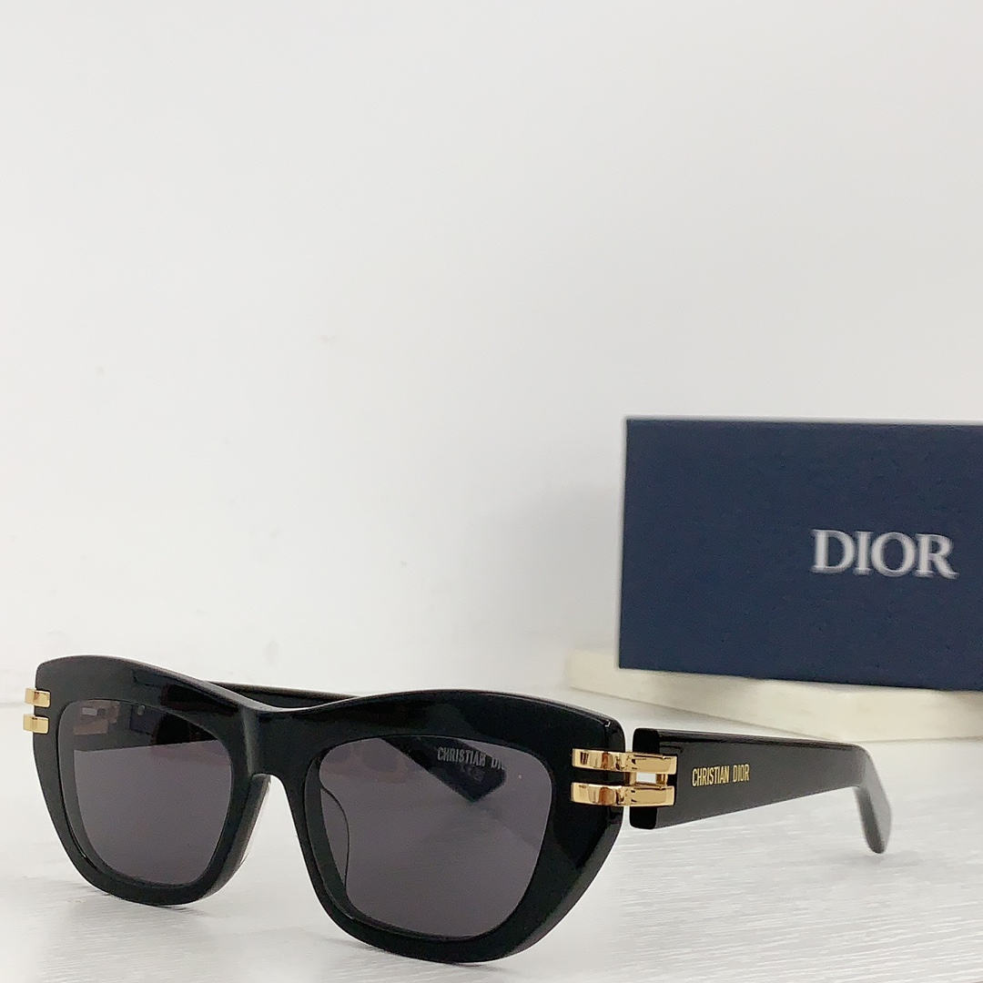 Dior Thick Acetate Sunglasses Top Quality