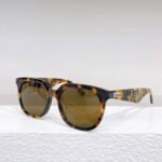 Dior Logo Leg Plate Frame sunglasses  Top quality - Image 5