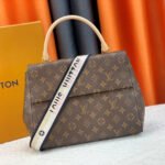 Louis Vuitton LV Cluny Leather Shoulder Crossbody Bag M46055&M46054 - Image 9