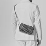 Goyard Cap-Vert PM Bag - Image 2