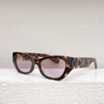 Dior Outdoor Casual Oval Sunglasses Top Quality - Image 2