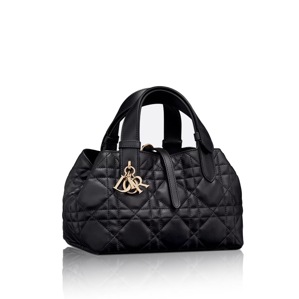 Dior Small Toujours Bag