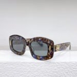 Loewe Acetate Frame Sunglasses Top Quality - Image 9