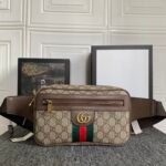Gucci Canvas & Leather Waist bag - Image 8