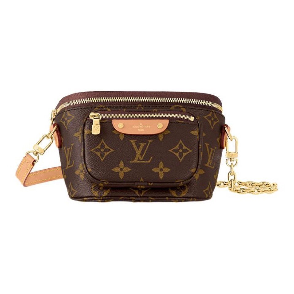 Louis Vuitton LV Bumbag Bag M82335