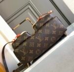 Louis Vuitton LV Excursion Backpack - Image 5