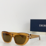 Dior Thick Acetate Sunglasses Top Quality - Image 4