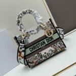 Dior Embroidered Princess Diana Handbag Crossbody