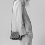 Goyard Plumet Woc Envelope Bag - Image 2