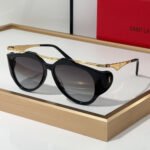 Saint Laurent YSL Eye Protection Light-proof Sunglasses Top Quality - Image 5