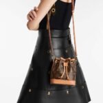 Louis Vuitton NANO Noé - Image 3