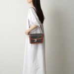 CELINE Triomphe Shoulder Bag Small&Medium - Image 2