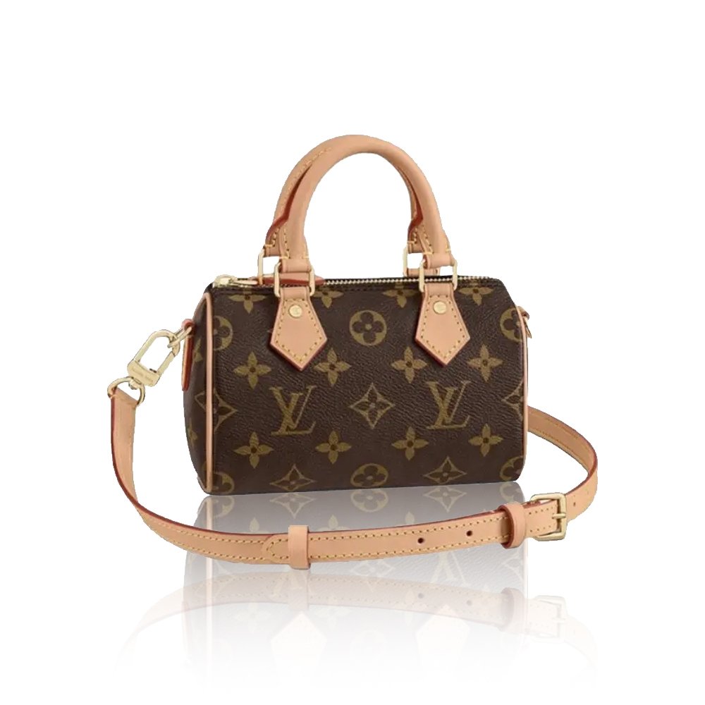 Louis Vuitton Mini Nano Speedy