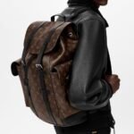 Louis Vuitton LV Christopher Backpack M43735 - Image 2