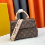 Louis Vuitton LV Cluny Leather Shoulder Crossbody Bag M46055&M46054 - Image 4