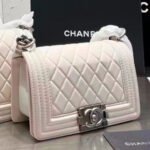 Chanel LEBOY Small 20CM - Image 7