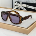 Dior Classic Logo Decorated Mirror Leg Acetate sunglasses  Top quality