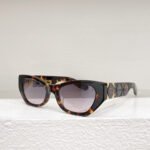 Dior Outdoor Casual Oval Sunglasses Top Quality - Image 6