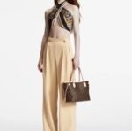 Louis Vuitton Neverfull PM M41000 - Image 2