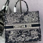 DIOR Book Tote Starlight&Star Tote Bags - Image 13