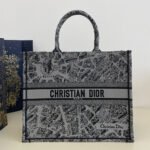 DIOR Book Tote Paris Map Bags - Image 6