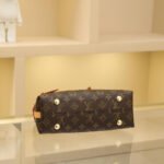Louis Vuitton  CarryAll BB - Image 5