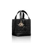 Dior Small Dior Toujours Vertical Tote Bag