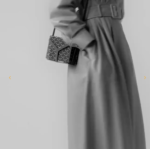 Goyard Minaudière Trunk Bag - Image 2