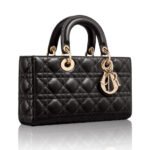 Dior Medium LADY D-JOY