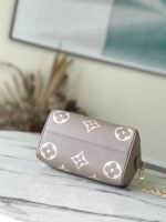 Louis Vuitton Speedy Bandouliere Grey M46575 - Image 6