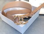 Chanel Belt With Double C Buckle Beige Women Belt 30MM - Image 2