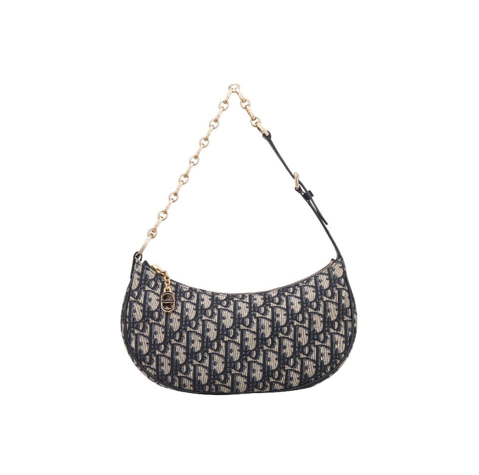 DIOR CD Lounge Half Moon Shoulder Bag