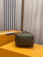Louis Vuitton Montsouris PM M45501 - Image 7