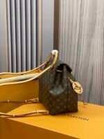 Louis Vuitton Montsouris PM M45501 - Image 9