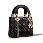 Dior  Mini Lady Bag-