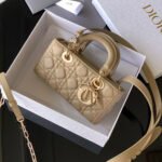 Dior Small Lady D-Joy - Image 12