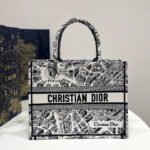 DIOR Book Tote Paris Map Bags - Image 7