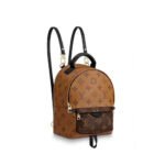 LV Palm Springs Backpack Mini&Small&Medium - Image 4