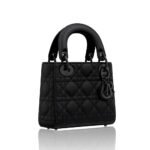 Dior Mini Lady Dior Bag