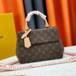 Louis Vuitton LV Cluny Leather Shoulder Crossbody Bag M46055&M46054 - Image 5
