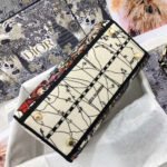 DIOR Lady D-Lite Bag - Image 6