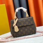 Louis Vuitton LV Cluny Leather Shoulder Crossbody Bag M46055&M46054 - Image 2