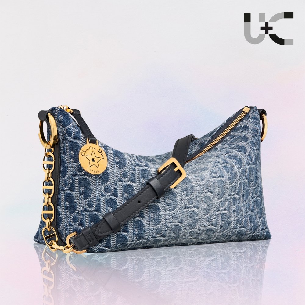 DIOR Oblique Star Hobo Denim Bag